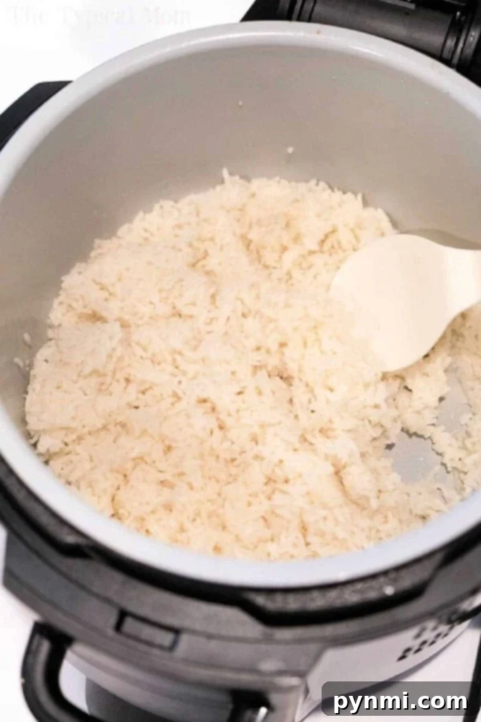 Perfectly Fluffy Ninja Foodi Rice 6 how to cook rice in ninja foodi