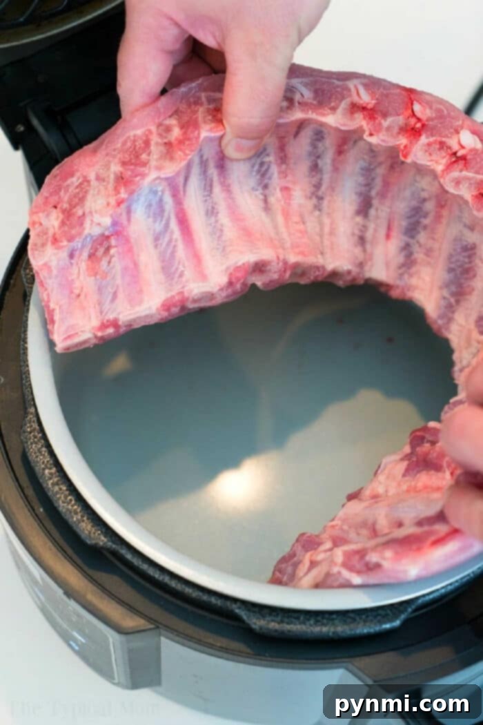 Hands placing a rack of raw ribs into an open pressure cooker, illustrating the correct coiled placement for preparing delicious Ninja Foodi ribs.