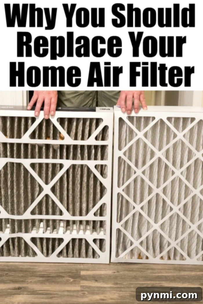 How to minimize your pet dander allergy at home! Here are tips that have helped me combat the sniffles and sneezing when we decided to get a family pet. #pets #cats #dogs #allergies #allergy #home #diy house air filters