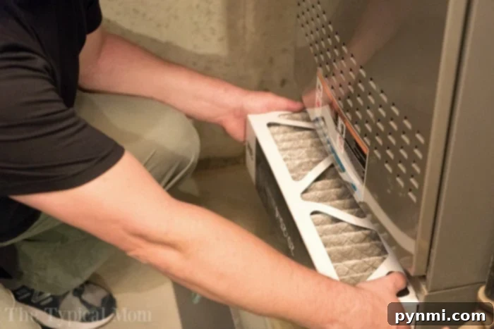 How to replace your home air filter. pet dander allergy