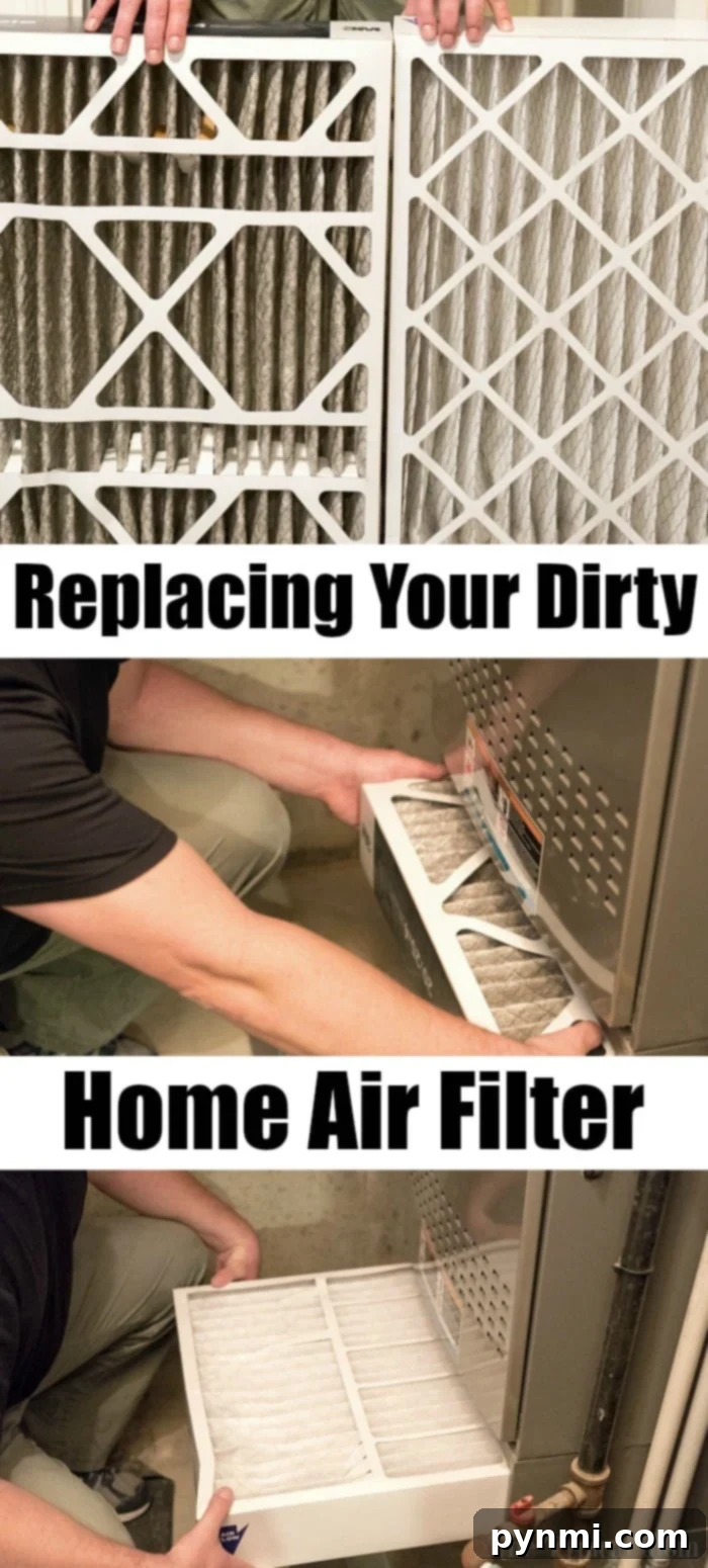 How to minimize your pet dander allergy at home! Here are tips that have helped me combat the sniffles and sneezing when we decided to get a family pet. AD #pets #cats #dogs #allergies #allergy #home #diy #airfilter #filtereasy #review best home air filter