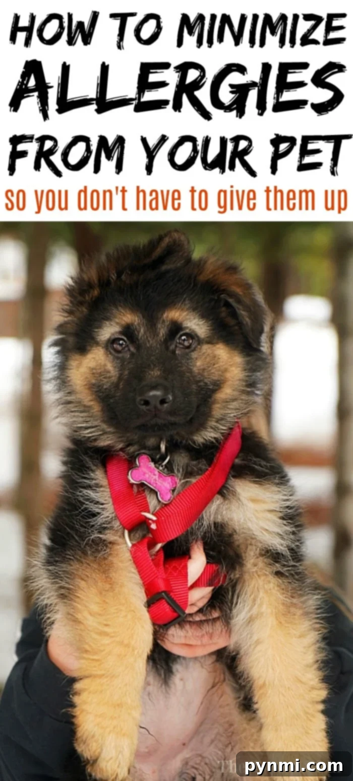 Minimize pet allergies this way! minimizing pet allergies