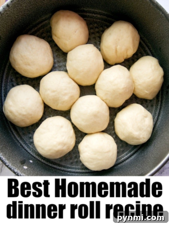 easy roll recipe 2