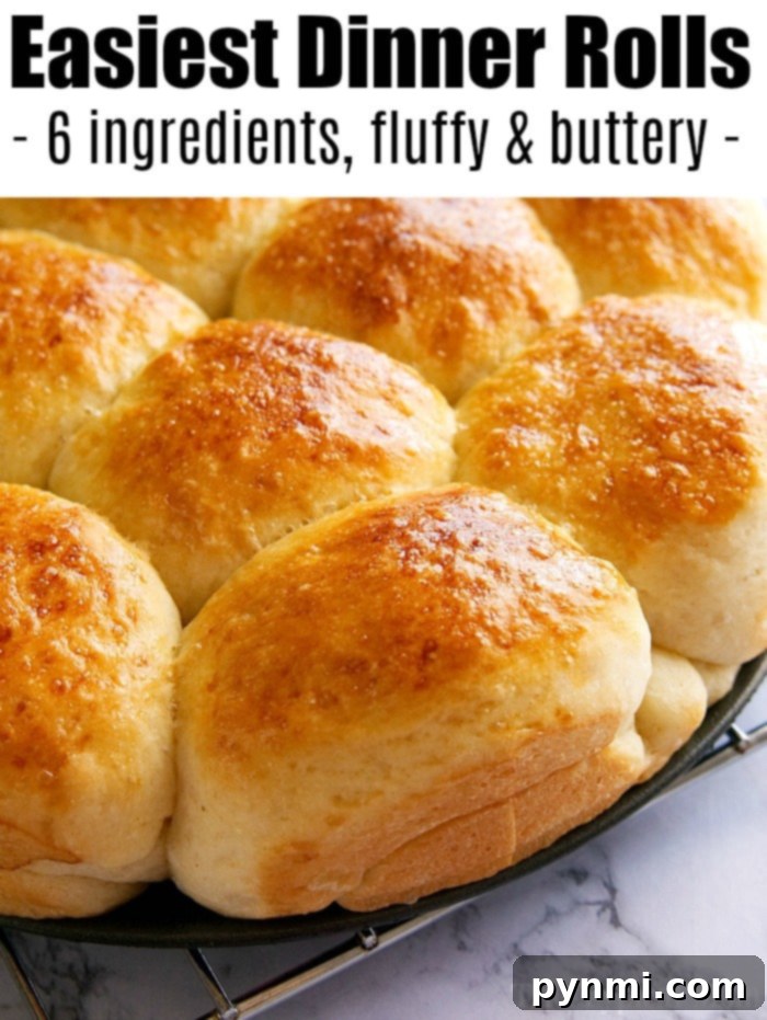 Close-up of a tray of golden-brown dinner rolls, boasting a fluffy, buttery texture with just 6 ingredients. This easy roll recipe will effortlessly elevate any meal.
