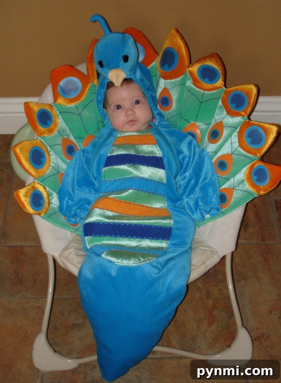 where to buy halloween costumes