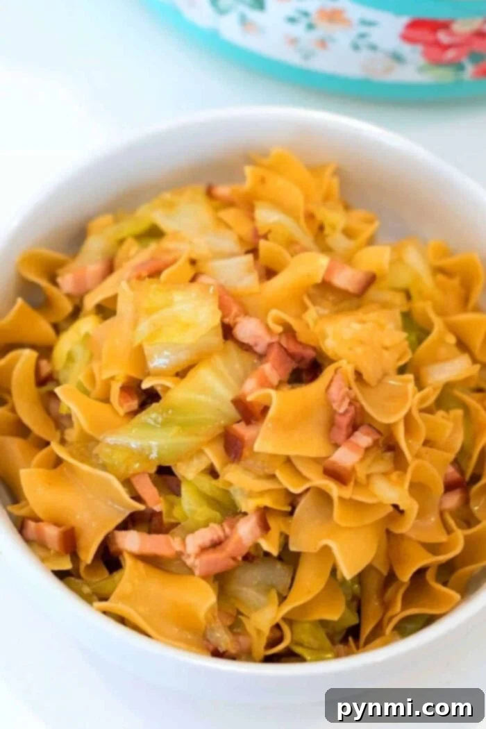 A bowl of egg noodles, infused with pressure cooker cabbage and pieces of cooked bacon. The noodles are golden, and the cabbage is lightly sautéed. This comforting dish is served in a white bowl resting on a light-colored surface.