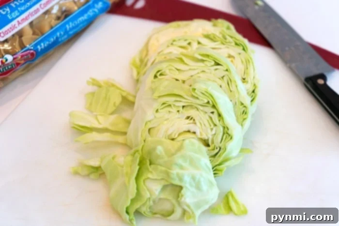 cabbage and noodles recipe