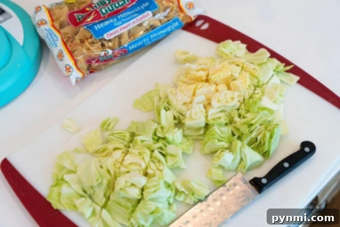 cabbage and noodles