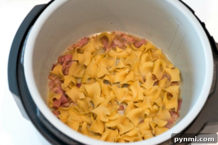 ninja foodi recipes