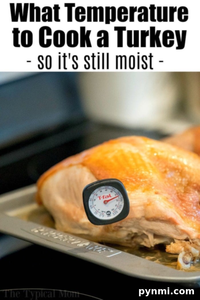 Guide on how to check the temperature of your turkey for optimal doneness. A clear diagram illustrating turkey cooking time per pound, serving as a visual aid for knowing how to cook a turkey perfectly.