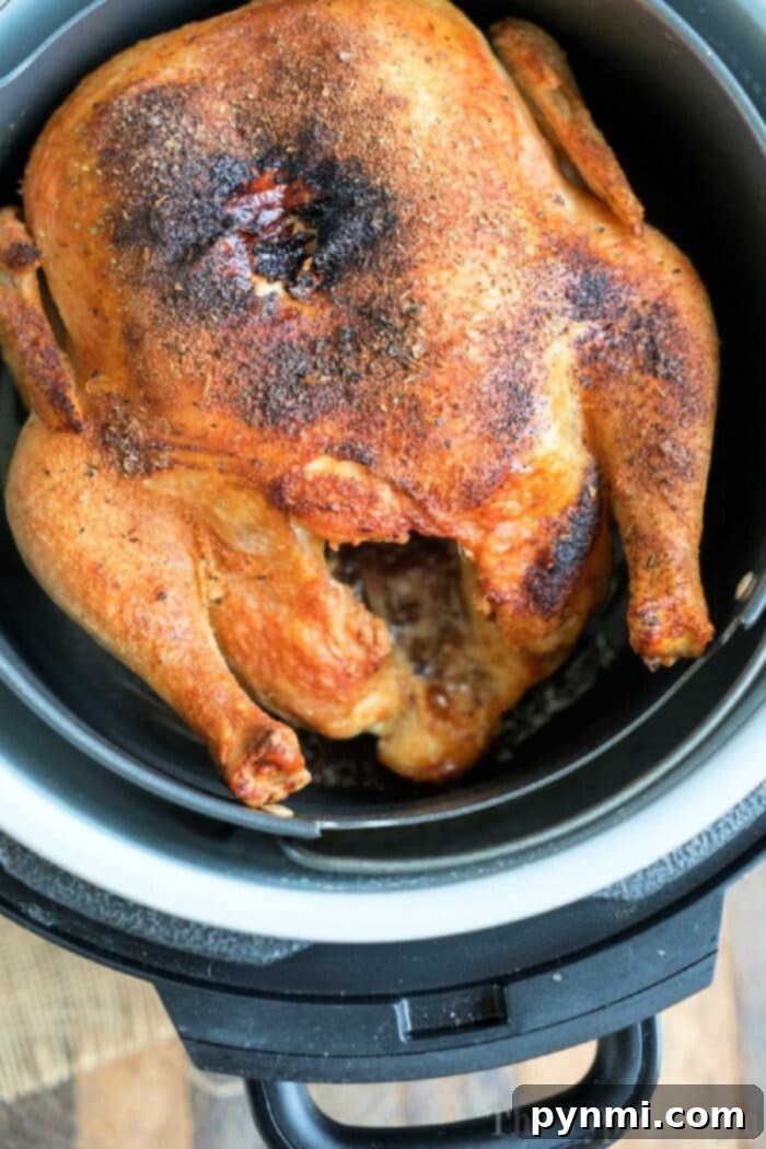 Ninja Foodi Whole Chicken Perfection 2 Roasted chicken in ninja foodi, seasoned and browned evenly, ready to serve—a perfect Ninja Foodi chicken recipe.