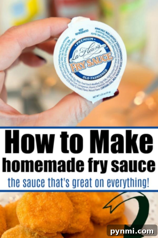 Homemade fry sauce 2