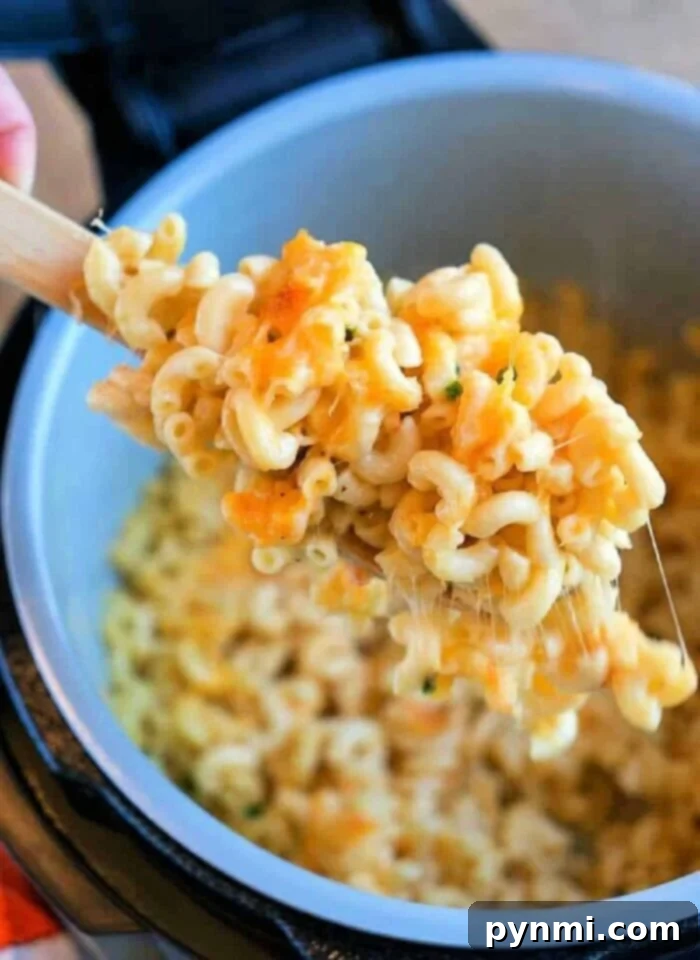 easy ninja foodi macaroni and cheese made quickly in a pressure cooker