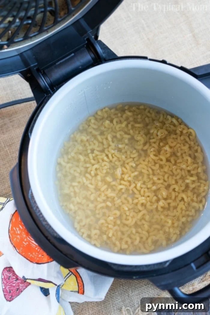 pressure cooker macaroni and cheese served fresh