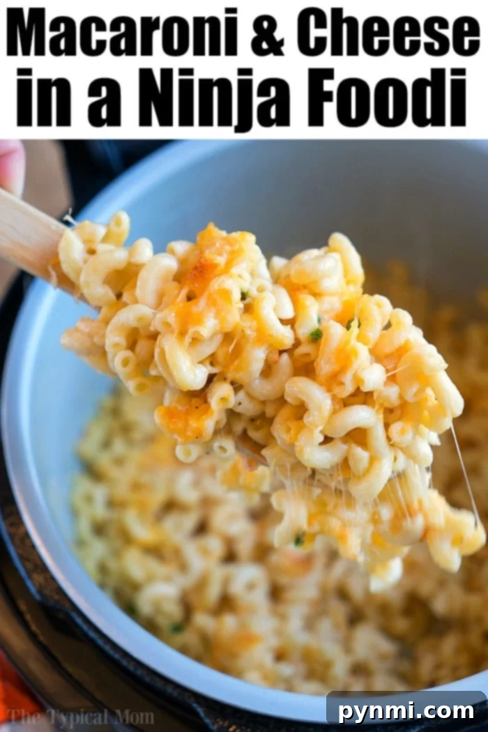 serving of creamy Ninja Foodi macaroni and cheese