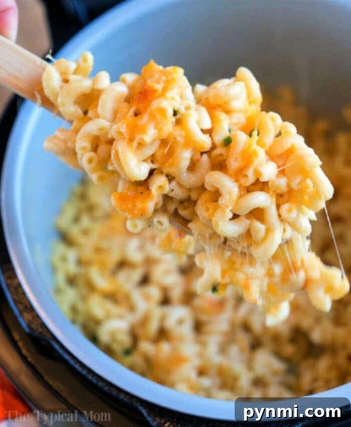 Ninja Foodi macaroni and cheese close up in the pot