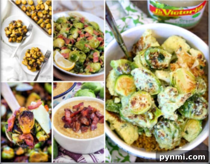 The Secret to Irresistible Brussels Sprouts 2 Deliciously cooked Brussels sprouts on a plate, showcasing various textures and preparations