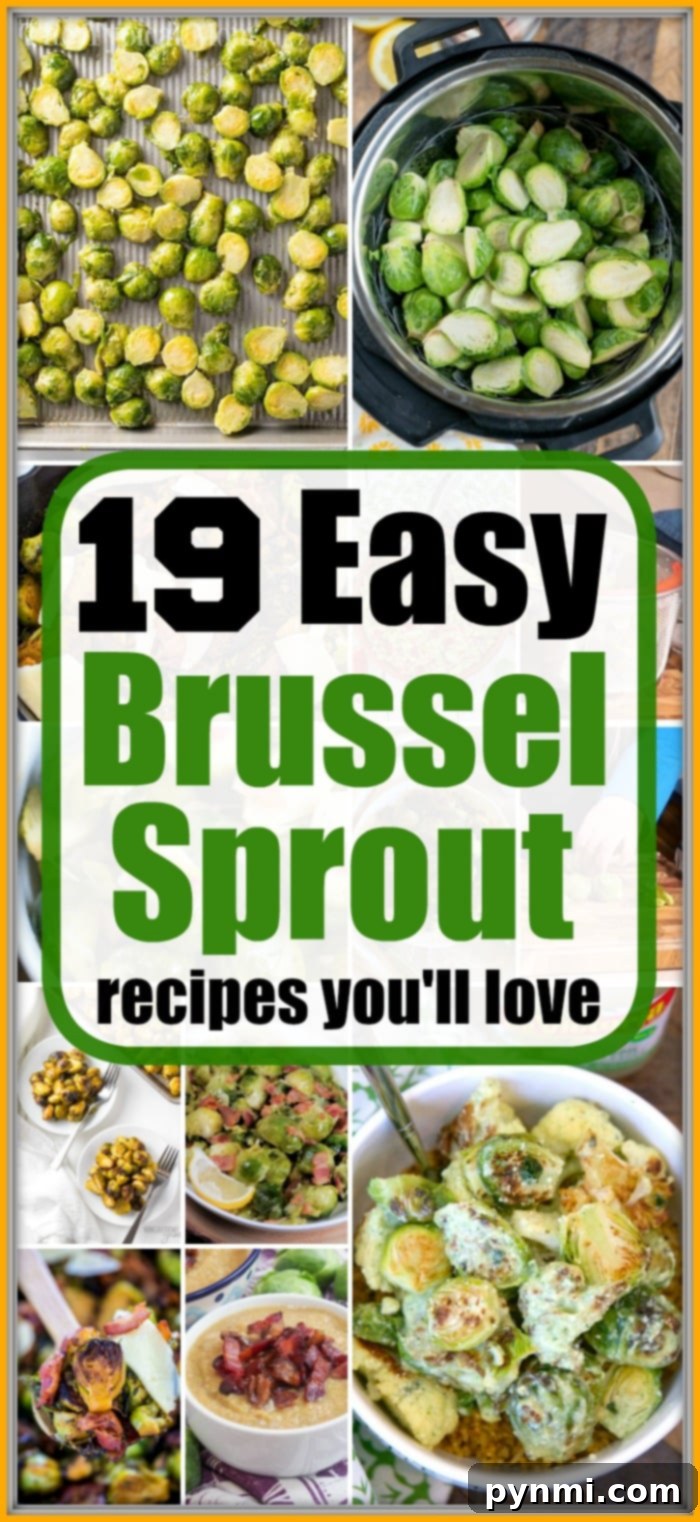 The Secret to Irresistible Brussels Sprouts 5 Assortment of brussels sprout recipes, showcasing diverse preparations