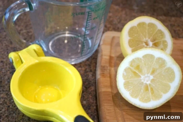 Freshly squeezed lemonade with lemon slices and mint leaves in a glass, a classic summer drink.
