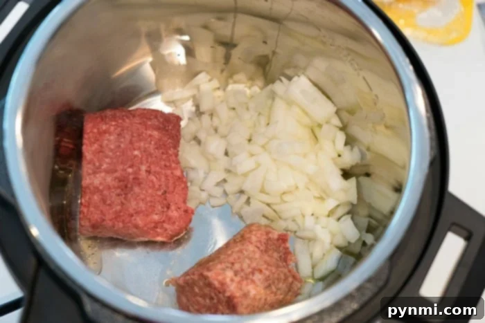 Ground beef and chopped onions in an electric pressure cooker, ready to whip up a flavorful mild chili recipe.