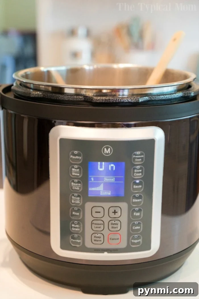 mealthy multipot hero image