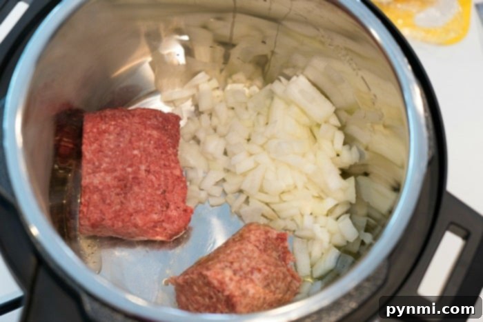 mealthy multipot cooking