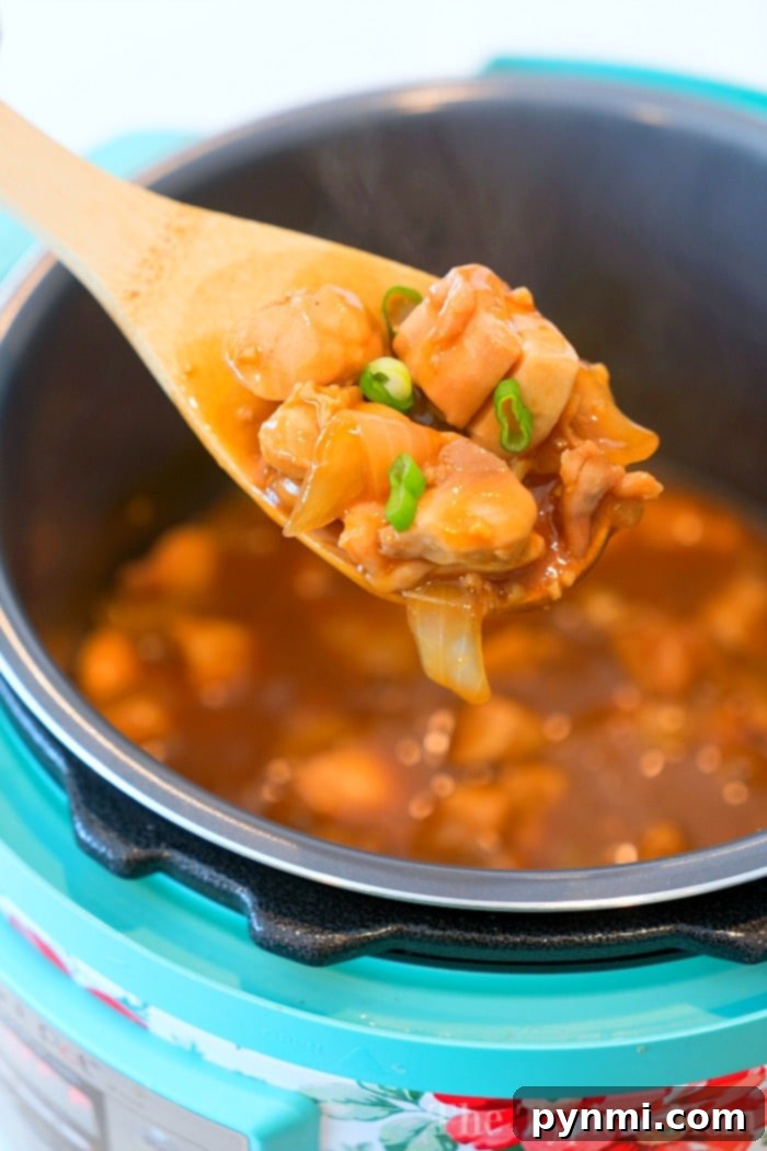 pressure cooker hoisin chicken recipe