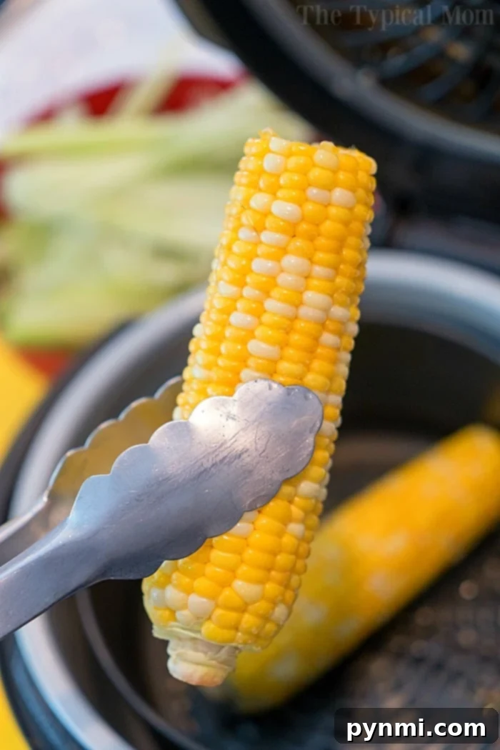 Tongs grasp a perfectly cooked corn on the cob over a pot, with another cob in the backdrop. Imagine this delicious scene recreated with air fryer corn for a quick and easy twist.