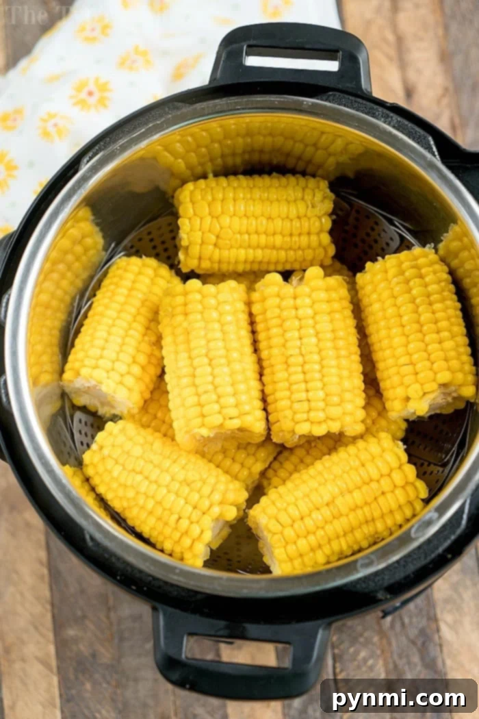 Corn on the cob pieces are artfully arranged in a steaming basket inside an Instant Pot, transforming it into the perfect pressure cooker for effortless, delicious results.