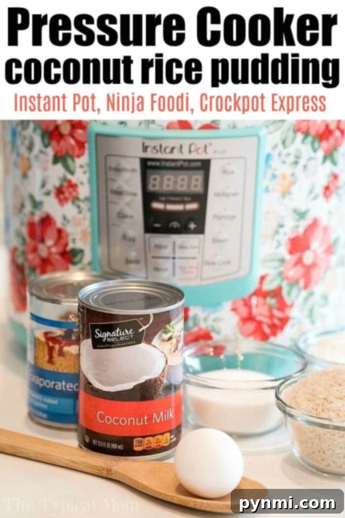 Island Rice Dream 3 Creamy pressure cooker coconut rice pudding served in a rustic bowl, highlighting its rich texture and inviting warmth.