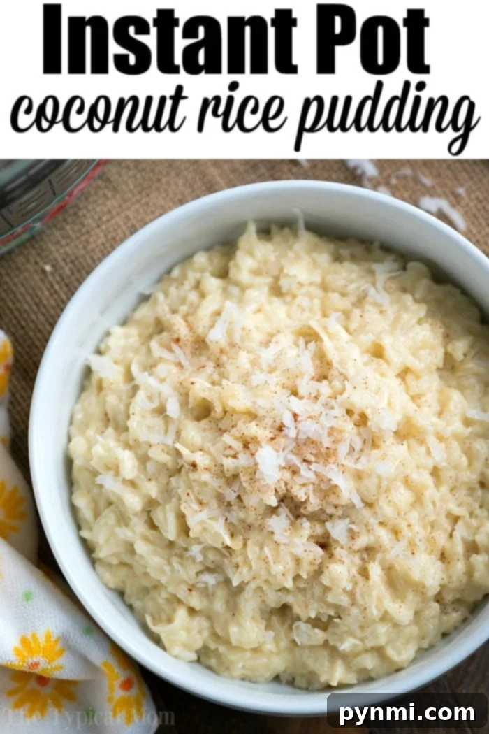 Island Rice Dream 4 A tempting bowl of instant pot coconut rice pudding, perfectly creamy and topped with golden shredded coconut, a true dairy-free and gluten-free delight.