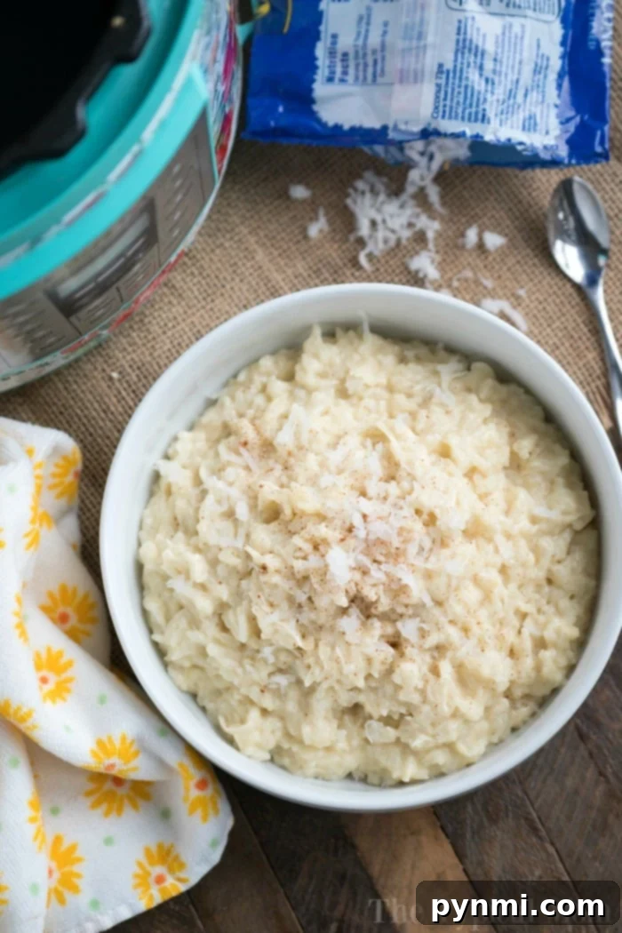 Island Rice Dream 6 A delightful bowl of creamy coconut rice pudding, garnished with toasted coconut flakes, perfectly illustrating a quick and easy pressure cooker dessert.
