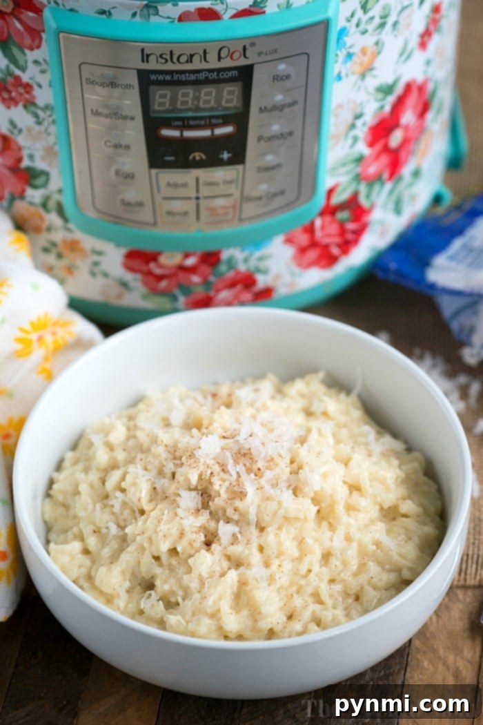 Island Rice Dream 7 A bowl of coconut rice pudding sits elegantly in front of a floral-patterned Instant Pot, reminiscent of a delectable instant pot rice pudding recipe.