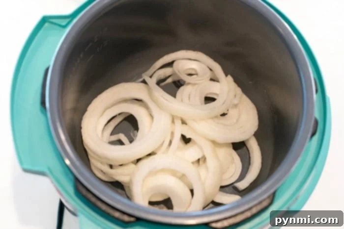 instant pot chuck roast - raw and ready for pressure cooking