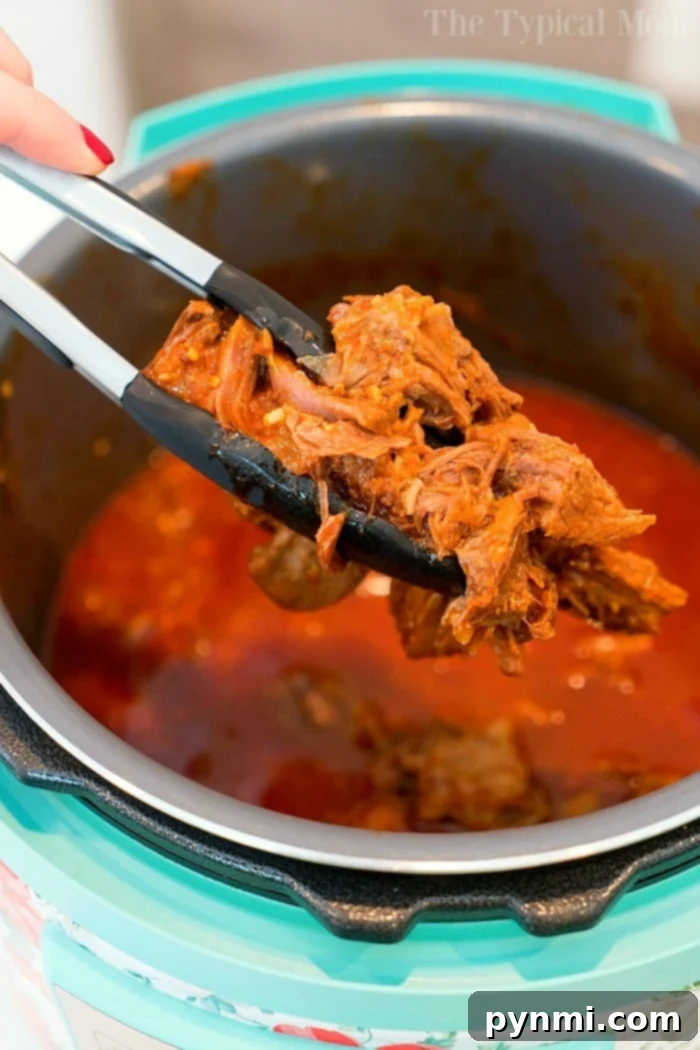 instant pot pulled beef - served on buns