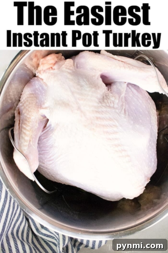 Guide to Crafting Clean Original English Titles 4 A whole raw turkey placed inside an Instant Pot inner pot. The turkey sits on a wire rack, and the pot is resting on a striped cloth. The text above reads, "The Easiest Pressure Cooker Turkey.