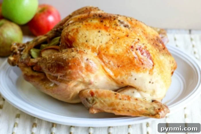 Guide to Crafting Clean Original English Titles 8 baking a turkey in the oven