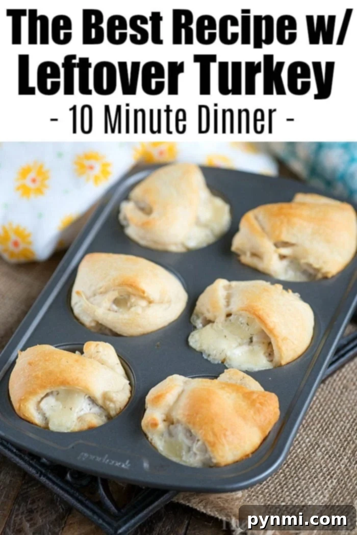 Guide to Crafting Clean Original English Titles 9 leftover turkey recipes