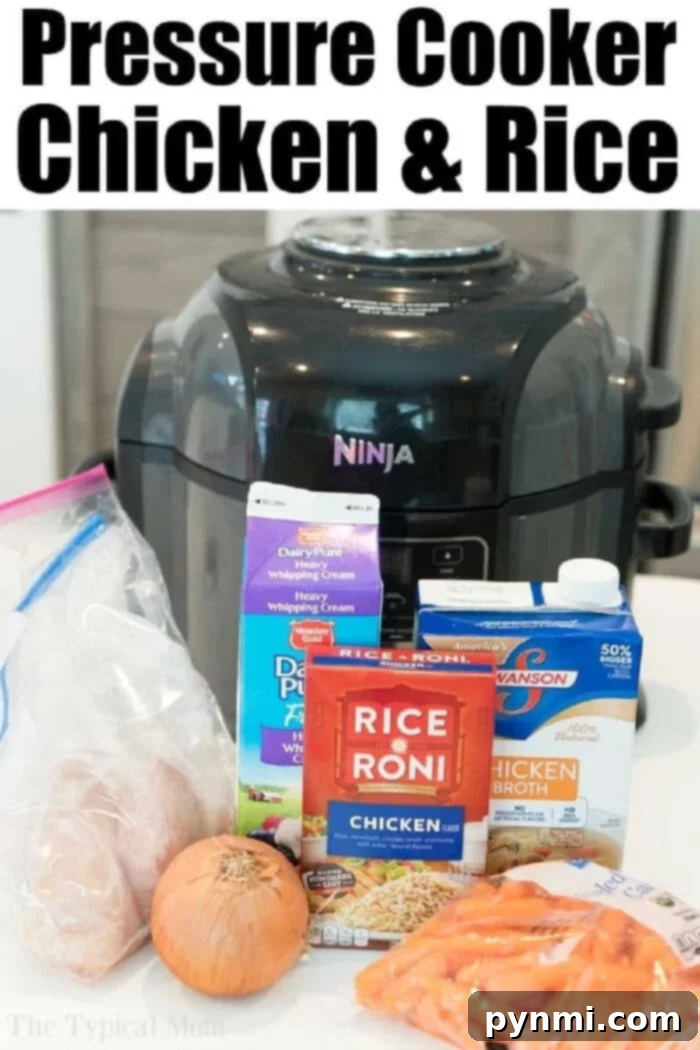 Velvety Chicken and Rice Bake 3 A vibrant selection of ingredients for creamy chicken and rice casserole, including fresh chicken, heavy cream, Rice-A-Roni mix, chicken broth, diced onion, and carrots, neatly arranged in front of a modern pressure cooker.
