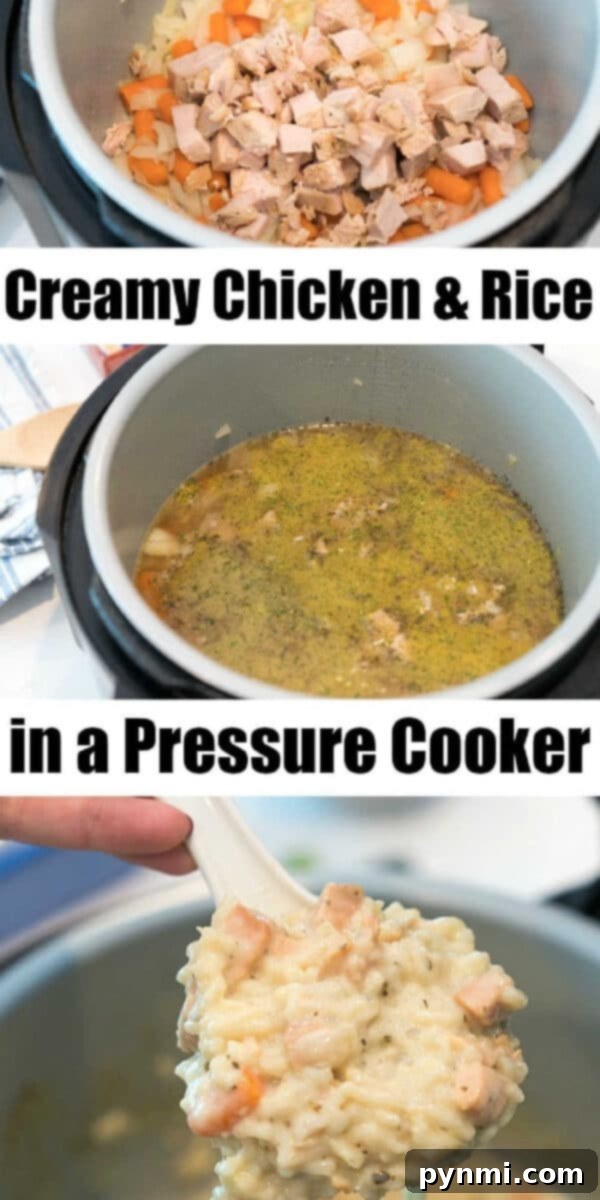 Velvety Chicken and Rice Bake 4 Hearty chopped chicken, colorful carrots, and tender rice simmering together in a pressure cooker, destined to become a luscious creamy casserole.