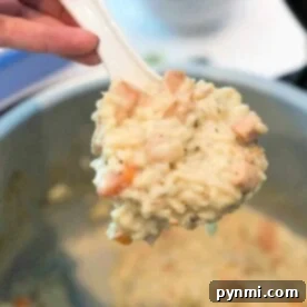 Velvety Chicken and Rice Bake 5 A serving spoon lifting a portion of creamy chicken and rice casserole from the pressure cooker, showcasing its rich texture.