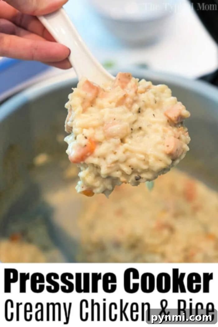 Velvety Chicken and Rice Bake 7 A vibrant and inviting bowl of Instant Pot creamy chicken and rice casserole, beautifully garnished and perfectly prepared for a family dinner.
