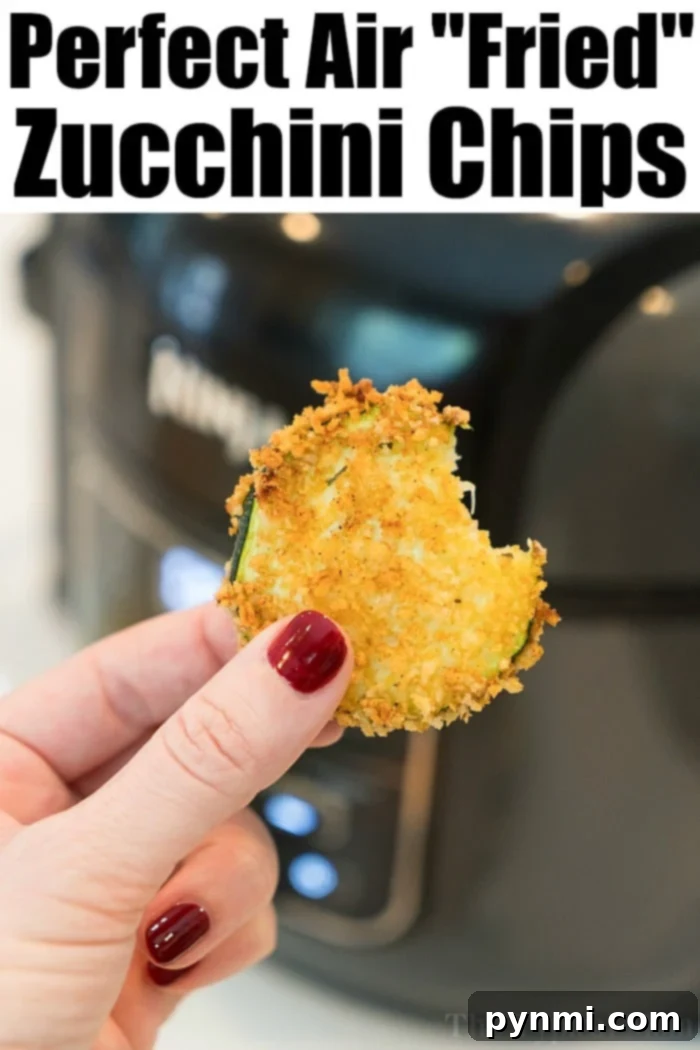 Creative Zucchini Dinners 5 air fried zucchini 2