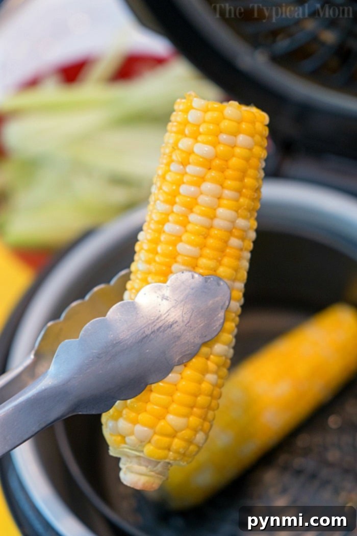 Creative Corn Side Dishes 3 Perfectly cooked corn on the cob