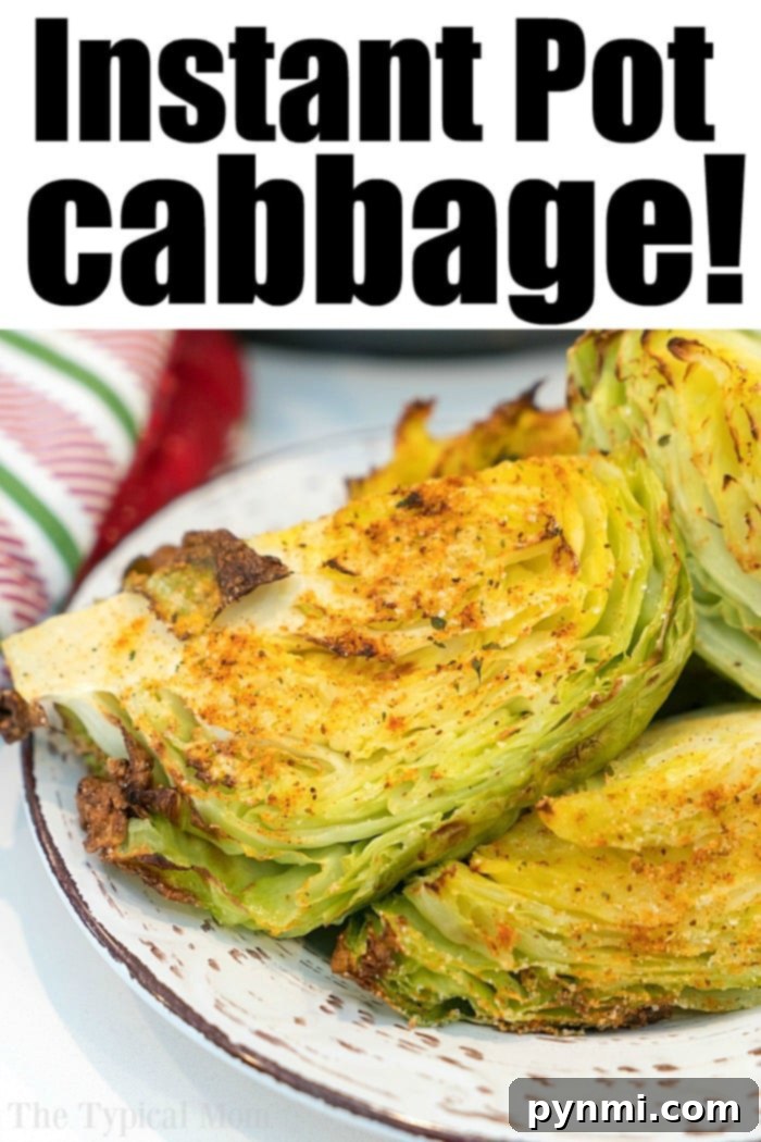 A simple yet elegant bowl of Instant Pot cabbage, lightly seasoned and perfectly cooked, highlighting its natural vibrant green color, ideal for a healthy side.