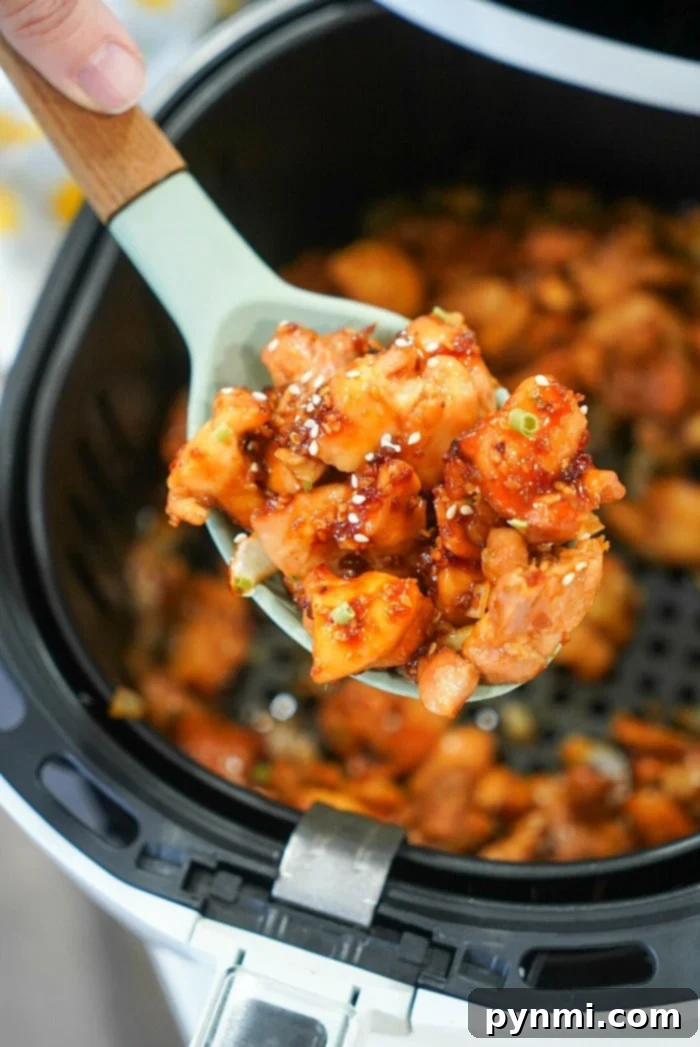 Delicious Ninja Foodi Chicken Meals 8 Air fryer teriyaki chicken