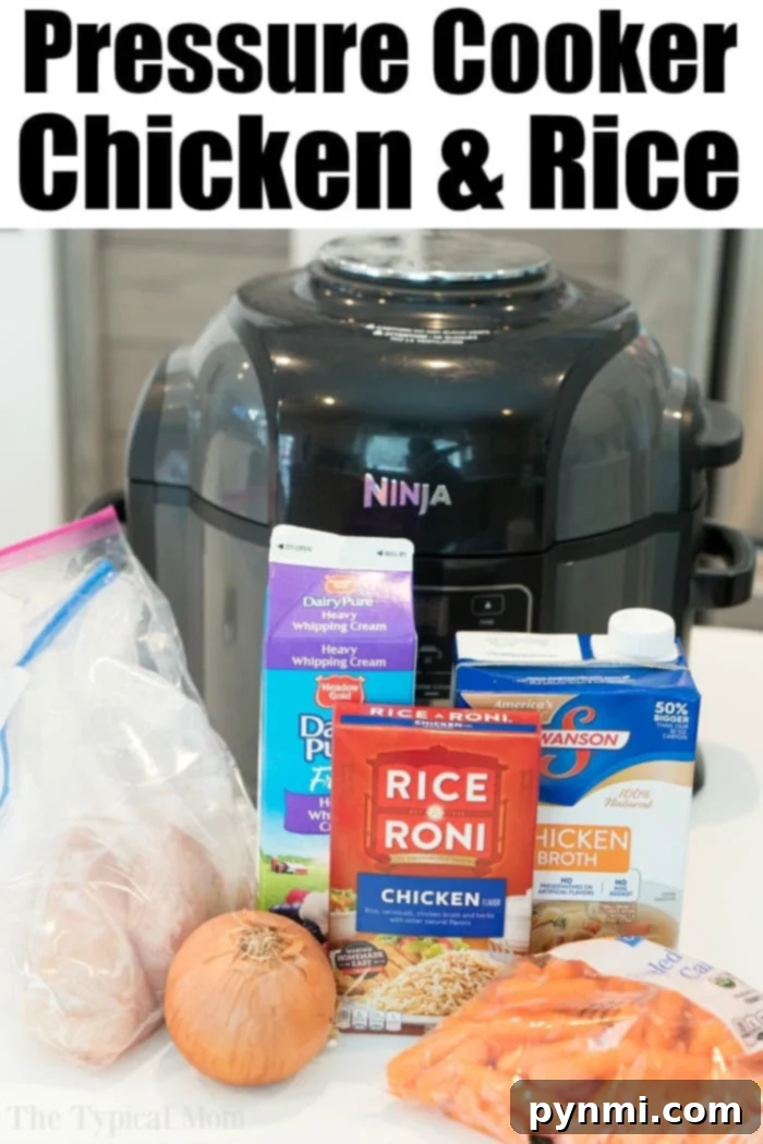 Ninja Foodi chicken recipes are here!! From frozen to fresh, using your pressure cooker or air fryer function there are lots of dinner ideas to choose from. #ninjafoodi #ninjafoodirecipes #pressurecooker #chicken Ninja Foodi chicken and rice