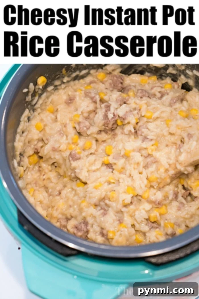 Instant Pot hamburger casserole is amazing! Close-up of a serving of Instant Pot ground beef casserole, rich with cheese and rice.