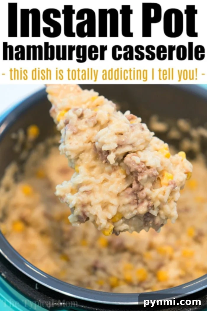 Instant Pot ground beef and rice is a cheesy rice dish with ground beef that our family loves for dinner! Get our your pressure cooker and try this tonight. Large serving of Instant Pot Hamburger Casserole in a bowl, ready to eat.