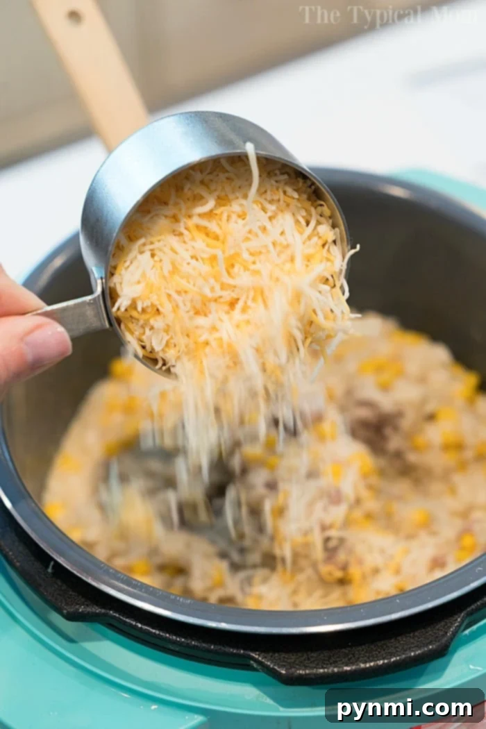 Cheesy Instant Pot hamburger casserole is a rice dish with ground beef that our family loves for dinner! Get our your pressure cooker and try this tonight. Another view of the Instant Pot Hamburger Casserole, showcasing its rich, creamy texture.